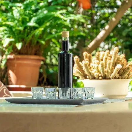 Comfort Dorin * Макарська