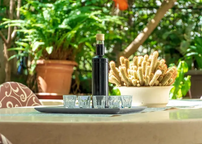 Comfort Dorin * Макарська